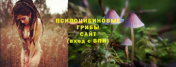 spice Алексин