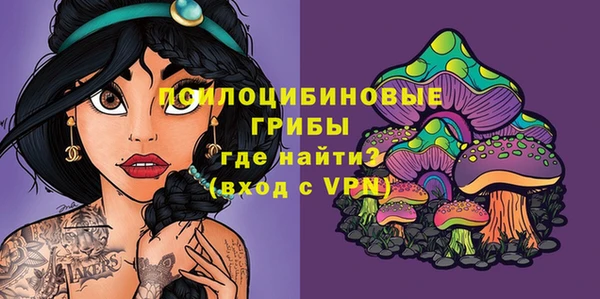 крисы Алексеевка